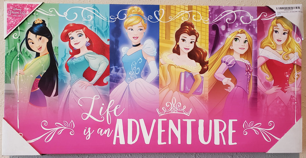 Disney Canvas, Picture, Wall Art - Princess, Painted - 24 x 12 x 1.25