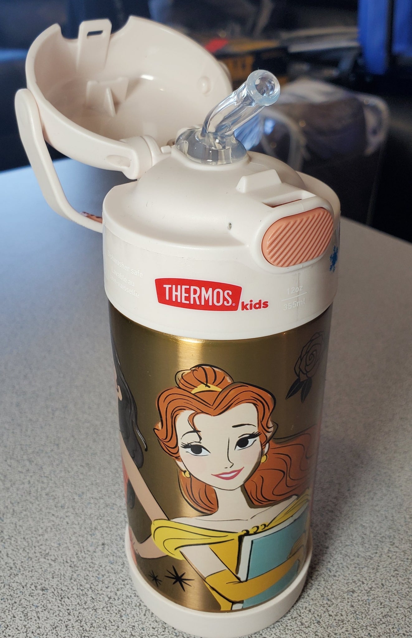 Thermos Kids Stainless Steel Vacuum Insulated Funtainer Straw