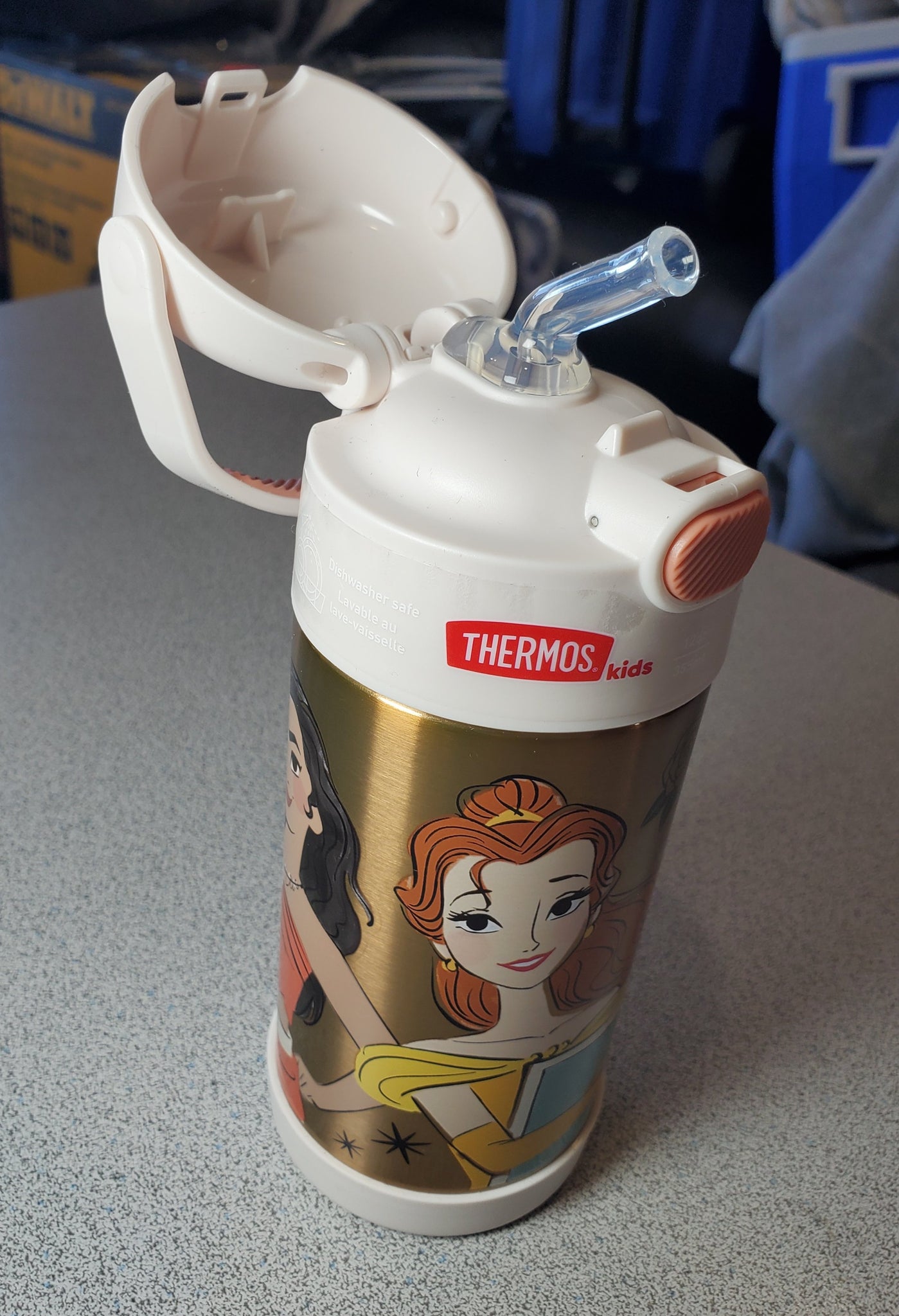 THERMOS FUNTAINER 12 Ounce Stainless Steel Vacuum Insulated Kids Straw  Bottle, Princess & FUNTAINER 12 Ounce Stainless Steel Vacuum Insulated Kids