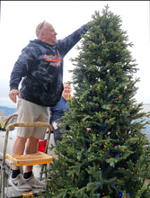 Load image into Gallery viewer, 12 Ft Artificial Christmas Tree - 4,430 Micro LED Lights Pre-Lit Aspen w/ Storage Duffle
