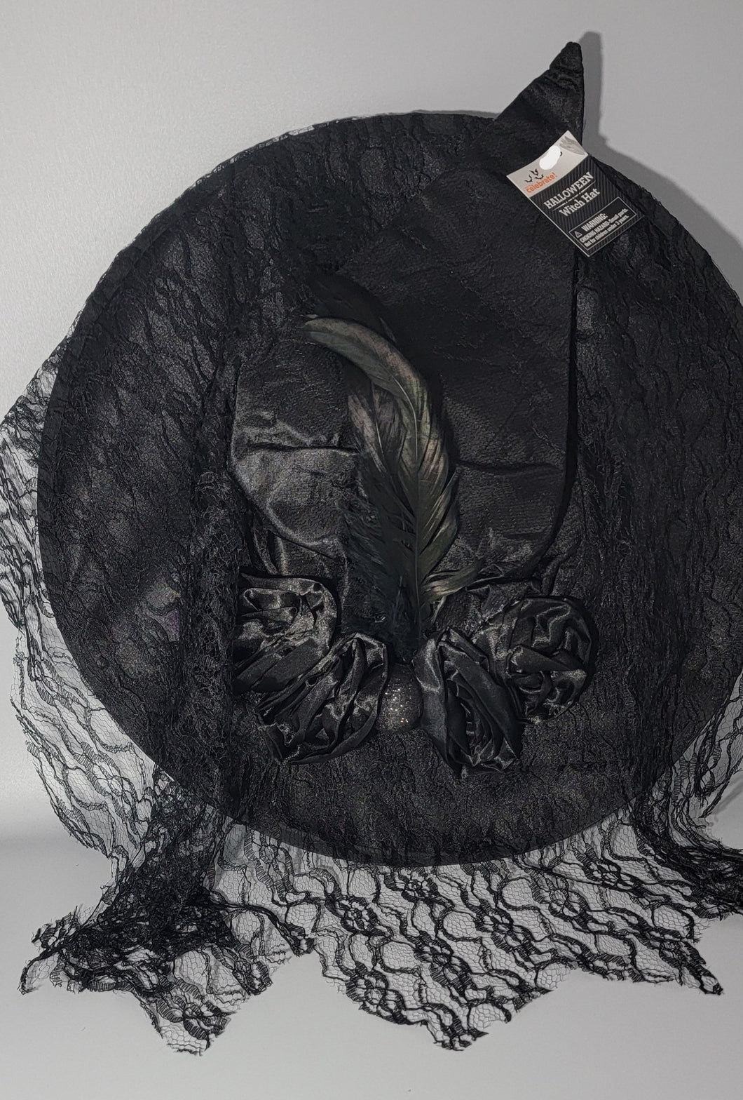 Women’s Witch Hat Halloween Costume Black Fancy Spooky Skull & Roses