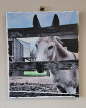 Load image into Gallery viewer, Mule Wall Décor on Distressed Wood Grain Box Sign  (19&quot;x16&quot;x1&quot;)
