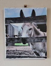 Load image into Gallery viewer, Mule Wall Décor on Distressed Wood Grain Box Sign  (19&quot;x16&quot;x1&quot;)
