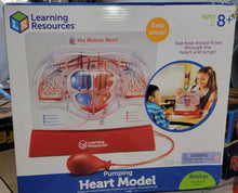 Load image into Gallery viewer, Learning Resources LER3535 Pumping Heart Model, Teaching Aid, Educational
