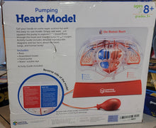 Load image into Gallery viewer, Learning Resources LER3535 Pumping Heart Model, Teaching Aid, Educational
