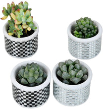 Load image into Gallery viewer, SUN-E Modern Mosaic Glass Checkered Pattern Cement Succulent Cactus Planter, Tiny Flower Plant Containers
